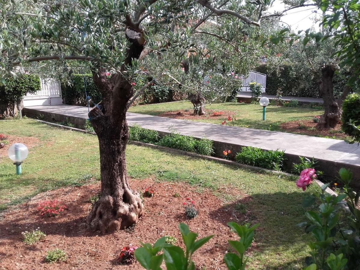 Apartman Vlado ซาดาร์ ภายนอก รูปภาพ